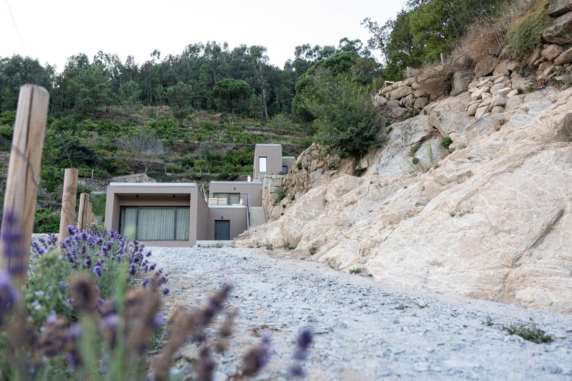 Quinta Da Ribeirinha - Douro River Pacos de Gaiolo Exterior foto